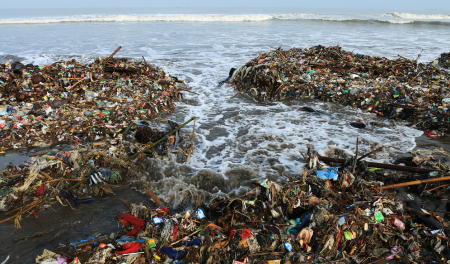 海洋清理选择了伊马拉斯的年度会议，推出了新系统