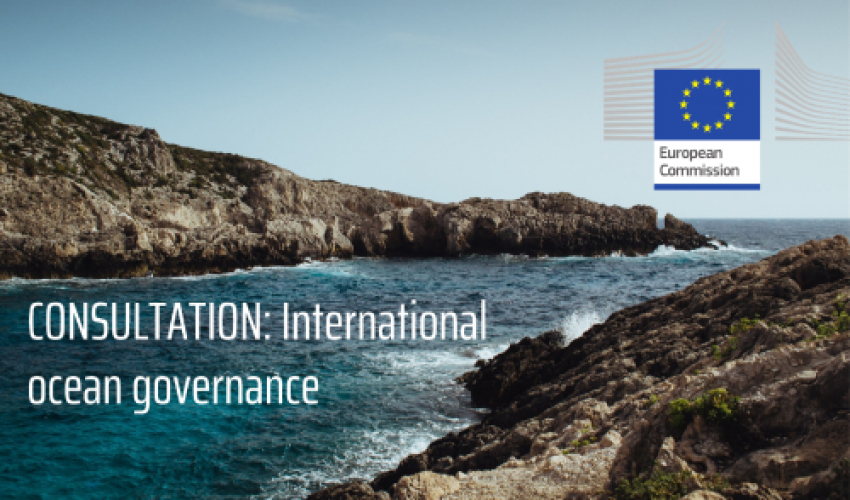 Consultation: International ocean governance