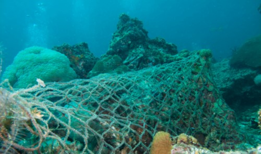 IMO旨在收紧有关渔具的现有法规，以对抗海洋塑料垃圾